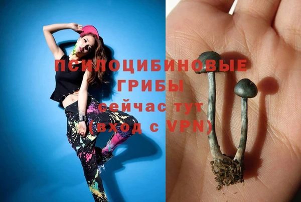 соль ск Балабаново