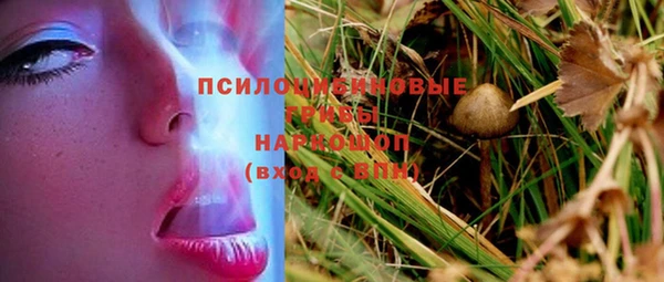 молекула духа Баксан