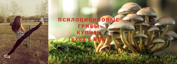 СК Балахна